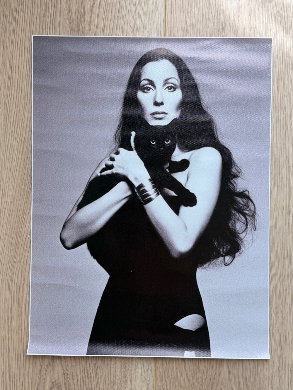 Cher Black Cat Canvas Art Print Poster